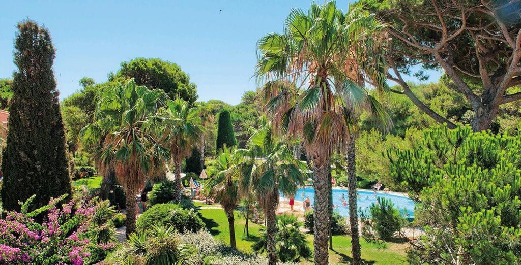 Badine Beach 5P Plage Piscine Balneo Clim Jardin Exotique Йер Экстерьер фото